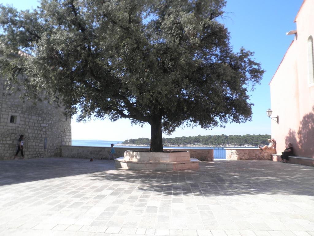 Apartments Zlata In The Heart Of The Old Town, Close To The Beach *